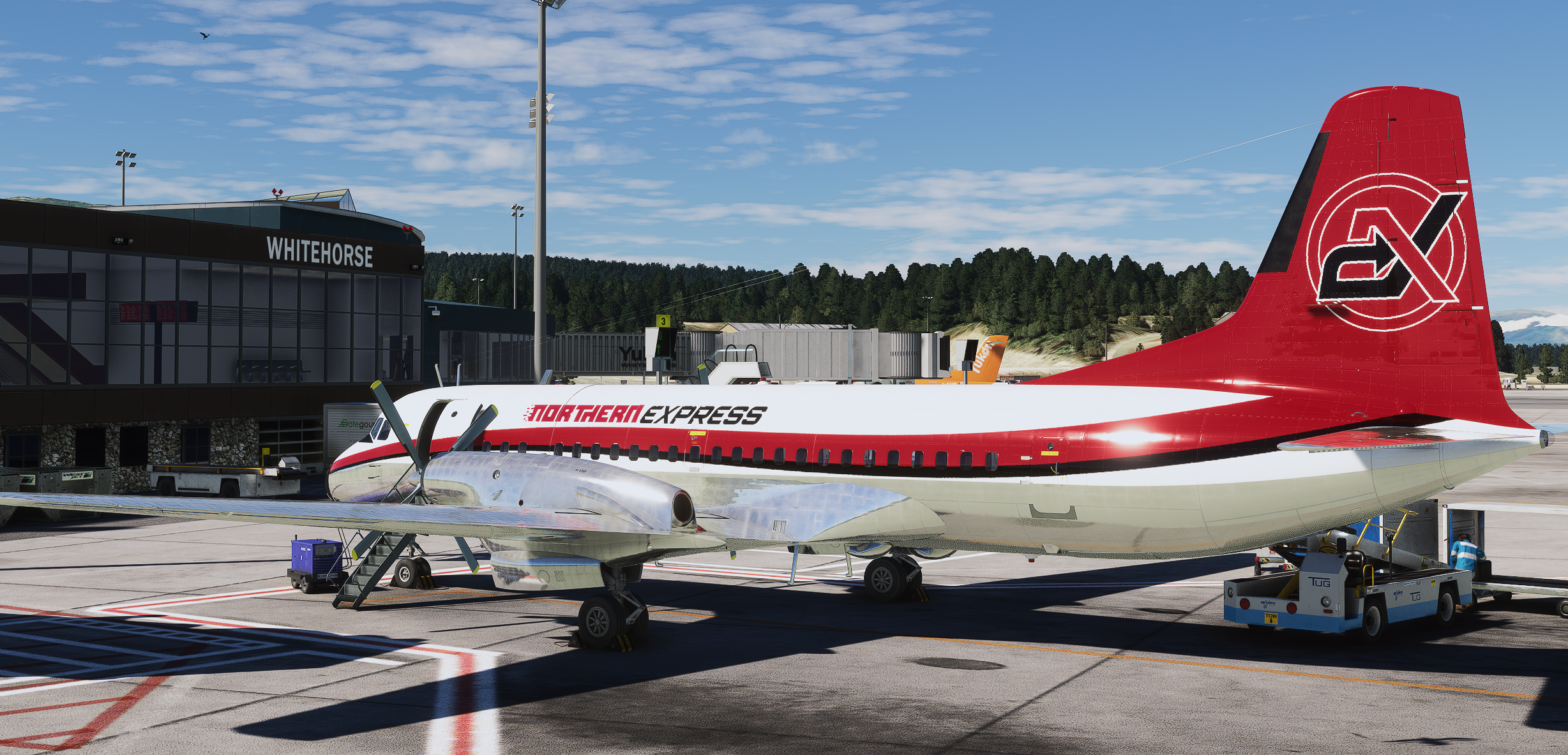 NAMC YS-11 passenger aircraft parked at Whitehorse